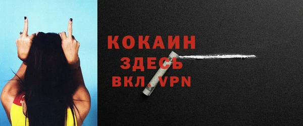 молекула духа Пересвет
