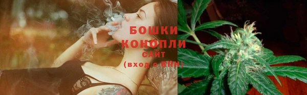 молекула духа Пересвет