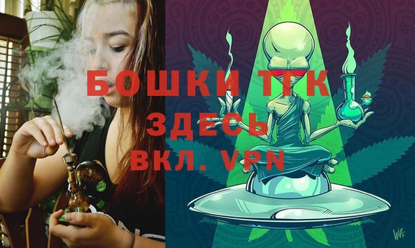 амф Пестово