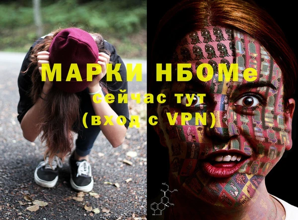 амф Пестово