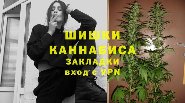 молекула духа Пересвет