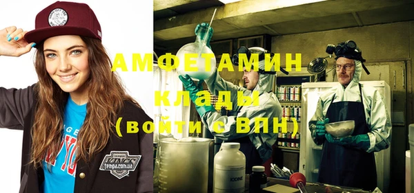 амф Пестово