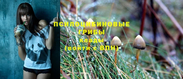 амф Пестово