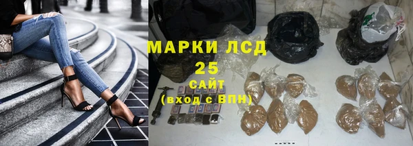 амф Пестово