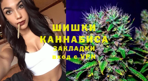 молекула духа Пересвет