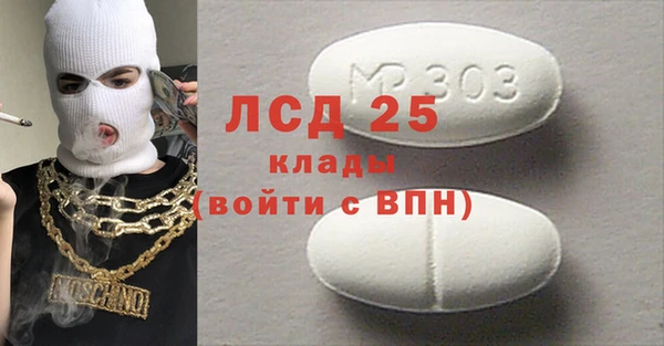 молекула духа Пересвет