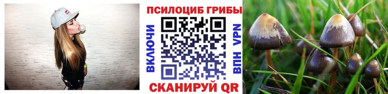 Псилоцибиновые грибы мицелий  Харабали 